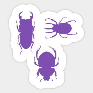 Beetles - purple Sticker